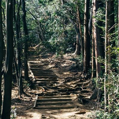 苏宁复制恒大亚冠神迹 中超克星全韩班惨遭打脸